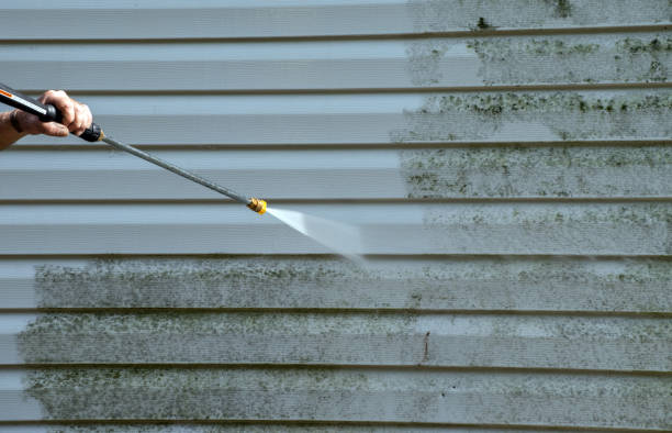 Best Sidewalk Pressure Washing  in Scottsville, KY