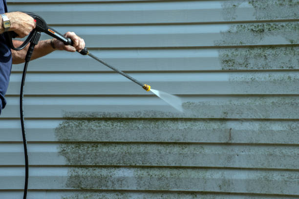 Best Exterior Home Cleaning  in Scottsville, KY