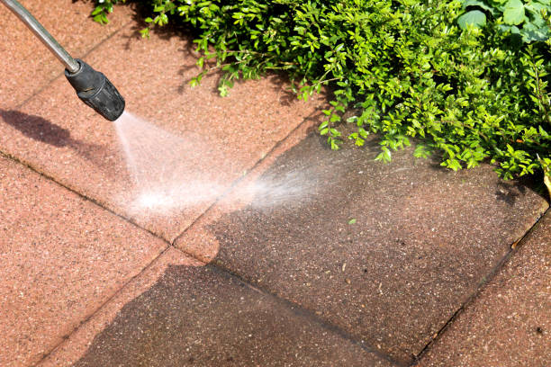 Best Pressure Washing Near Me  in Scottsville, KY